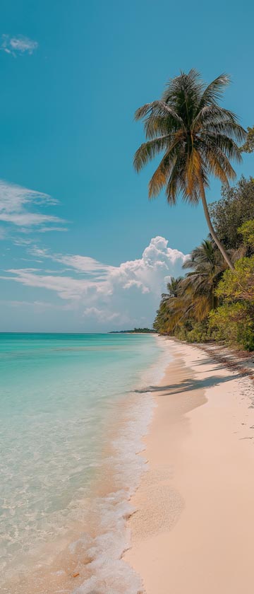 Tropical beach with white sand, turquoise water, and palm trees