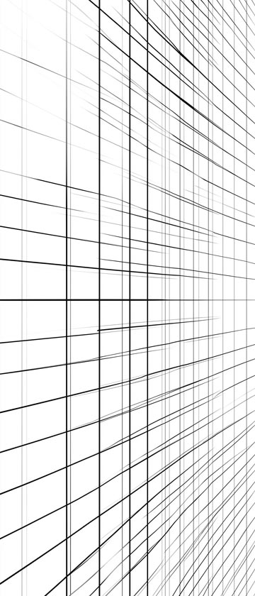 Thin black grid lines on a white background